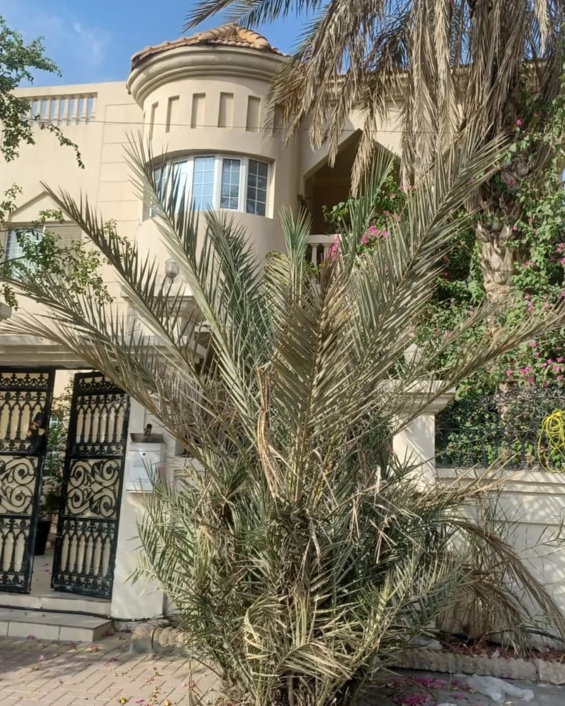 property_image