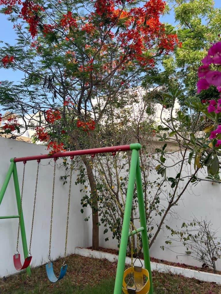 property_image